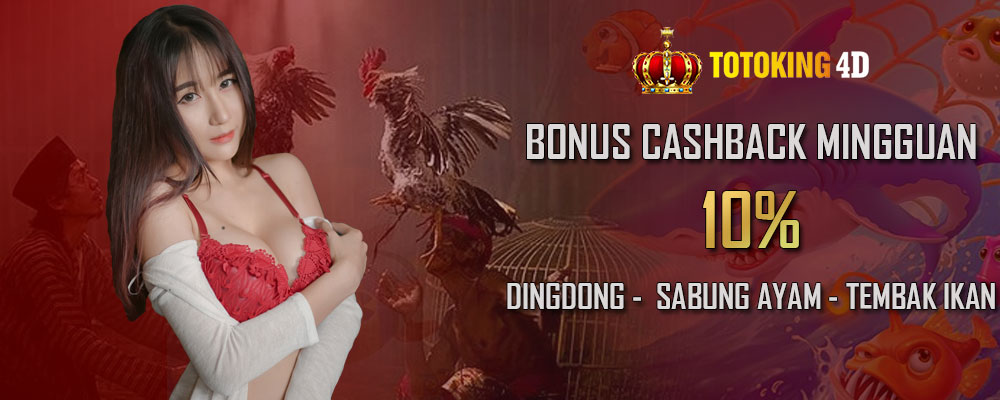 Bonus CashBack Mingguan DingDong, Sabung Ayam, dan